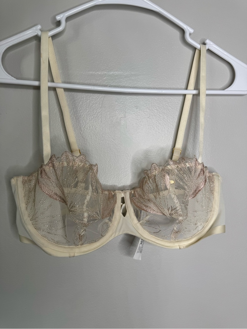 Triumph Sheer Embroidered Underwire Bra in Cream and Rose